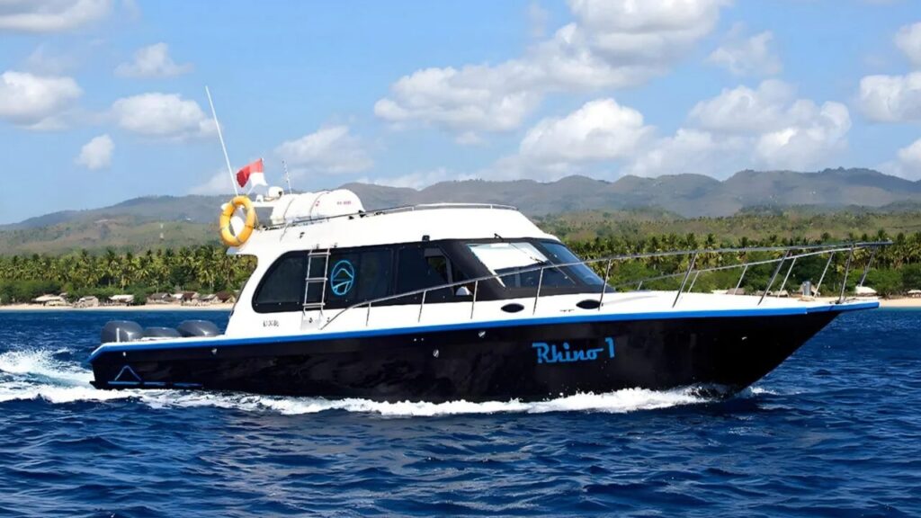 Rhino – Sports Leisure Cruiser