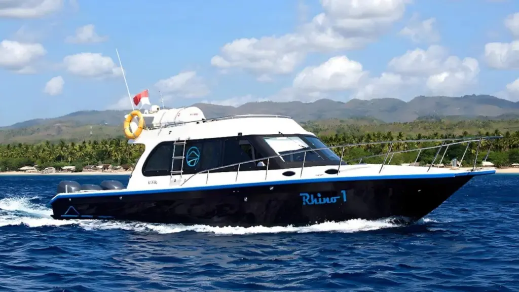 Rhino – Sports Leisure Cruiser